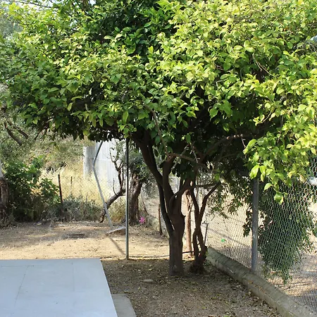 Costas Action 2 Hostal Nicosia