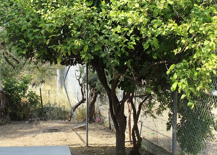 Costas Action 2 旅馆 尼科西亚